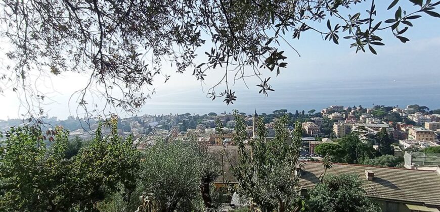 Nervi – Via Maggiolo