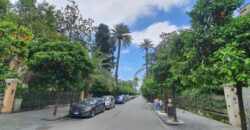 Nervi – Viale delle Palme