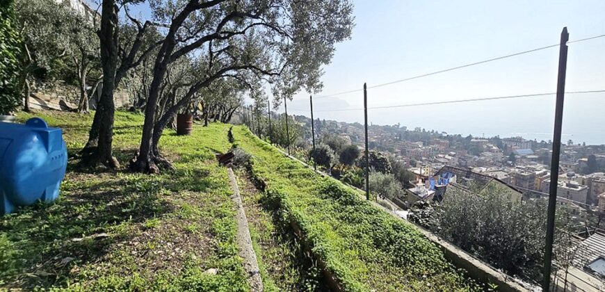 Nervi – Via Croce di Ferro