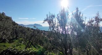 Nervi – Viale G. Franchini – Via D. Somma